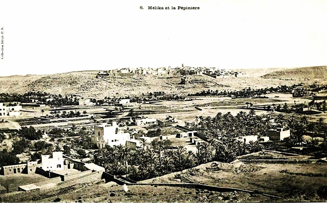 Melika - vue generale.jpg